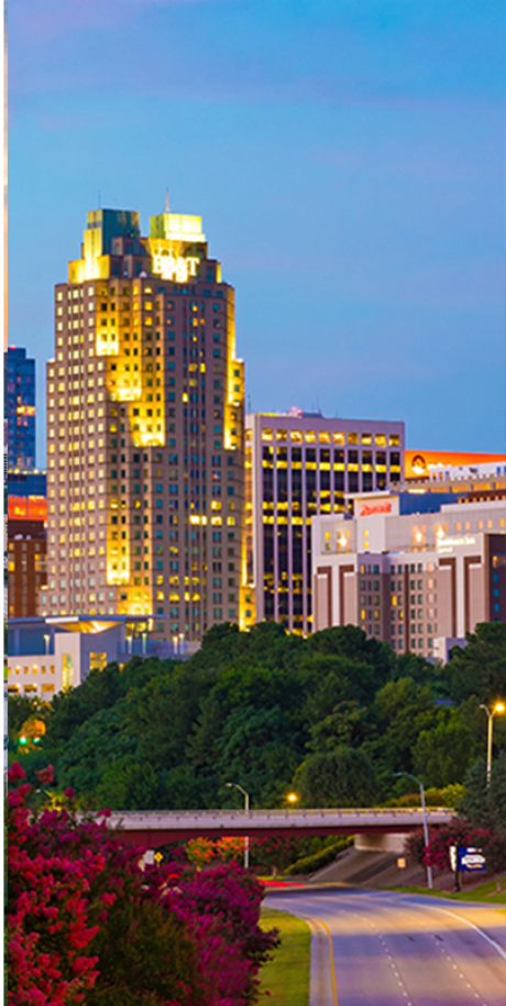 Raleigh One Stop copy